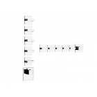 Gessi Rettangolo Wellness 43220 wall-mounted thermostatic shower mixer | Edilceram Design